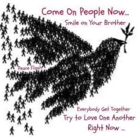 Meet your Posher, Deanna - Picture 1 of 1